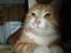Huskat Garfield <,3 (gaffe)  - Kigge Kigge ? hvad kigger han mon på ?  = MAD   :]                       taget i 2oo6