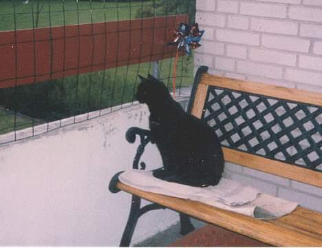 Huskat Castro - Dejlig udsigt  billede 14