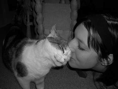 Blanding af racer Kisser - Mys mig :D  billede 7