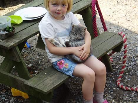 Blanding af racer Mitsi billede 12