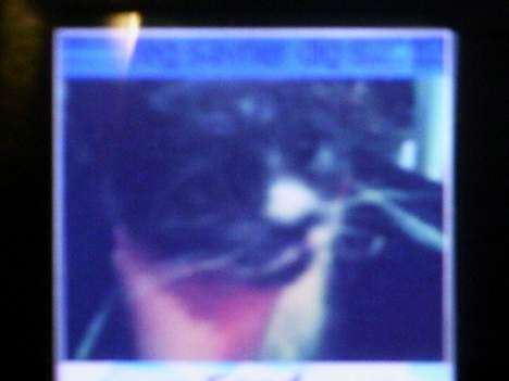 Blanding af racer Mivemand (VÆK) - har cremefraise i hele hovedet..:P hehe.. ( taget på mobil) billede 3