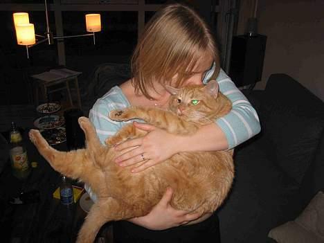 Blanding af racer Valdemar den Store - Størelsesforholdet på Julie og Valde taler for sig selv!!! billede 6