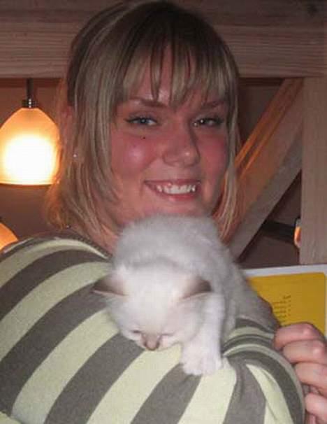 Hellig Birma Con Meo´s Bébé - En af de første gange mor var og besøge mig, jeg er kun en lille baby på 6 uger. billede 7