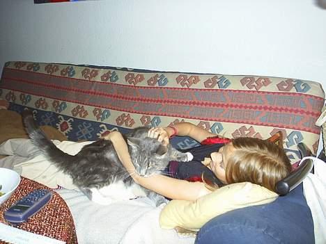 Blanding af racer Pjevs - leger sygeplejerske for min syge lillesøster :O billede 6