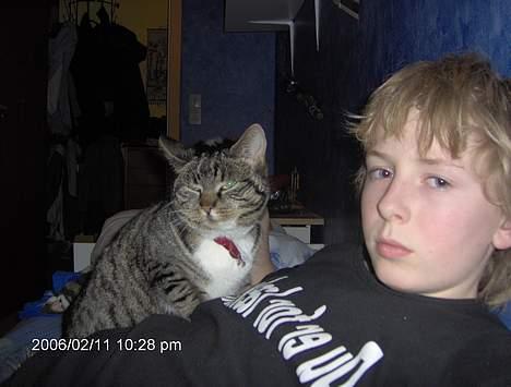 Blanding af racer kirke - morten er mig og kirke er min kat............. billede 5