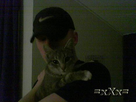 Blanding af racer Emma - Mig og Emma billede 11