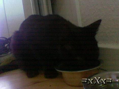 Blanding af racer Frederik - Mmmm Det smager godt.. billede 4