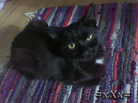 Blanding af racer Frederik - Jaa.. Duh Dejlig! billede 5