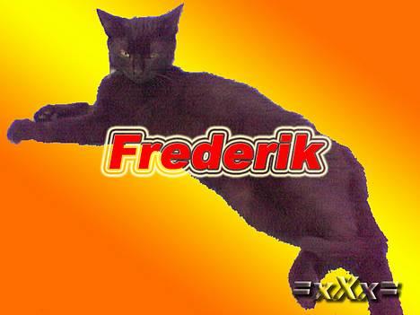 Blanding af racer Frederik - Frederik... billede 6