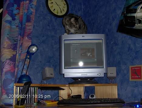 Blanding af racer kirke - kirke er oppe på min skarm billede 6