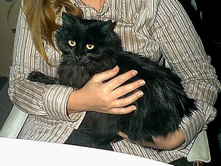 {{currentPhoto.altText}} billede {{currentPhoto.number}}