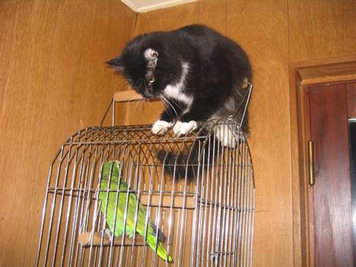 {{currentPhoto.altText}} billede {{currentPhoto.number}}