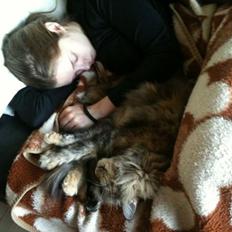 Blanding af racer R.I.P. Knirke