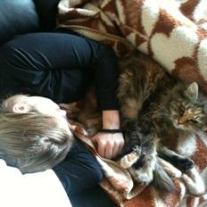 Blanding af racer R.I.P. Knirke