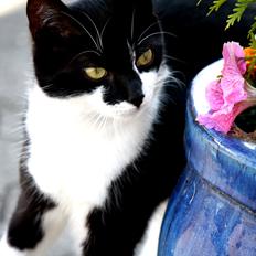 Blanding af racer COCO SURPRISE *Sov sødt min engel :’-(<3*