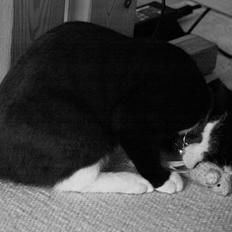 Blanding af racer mille