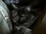 Maine Coon Felix - Putter under dynen. mmmmh !