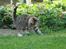 Huskat >Fifi - I haven!
