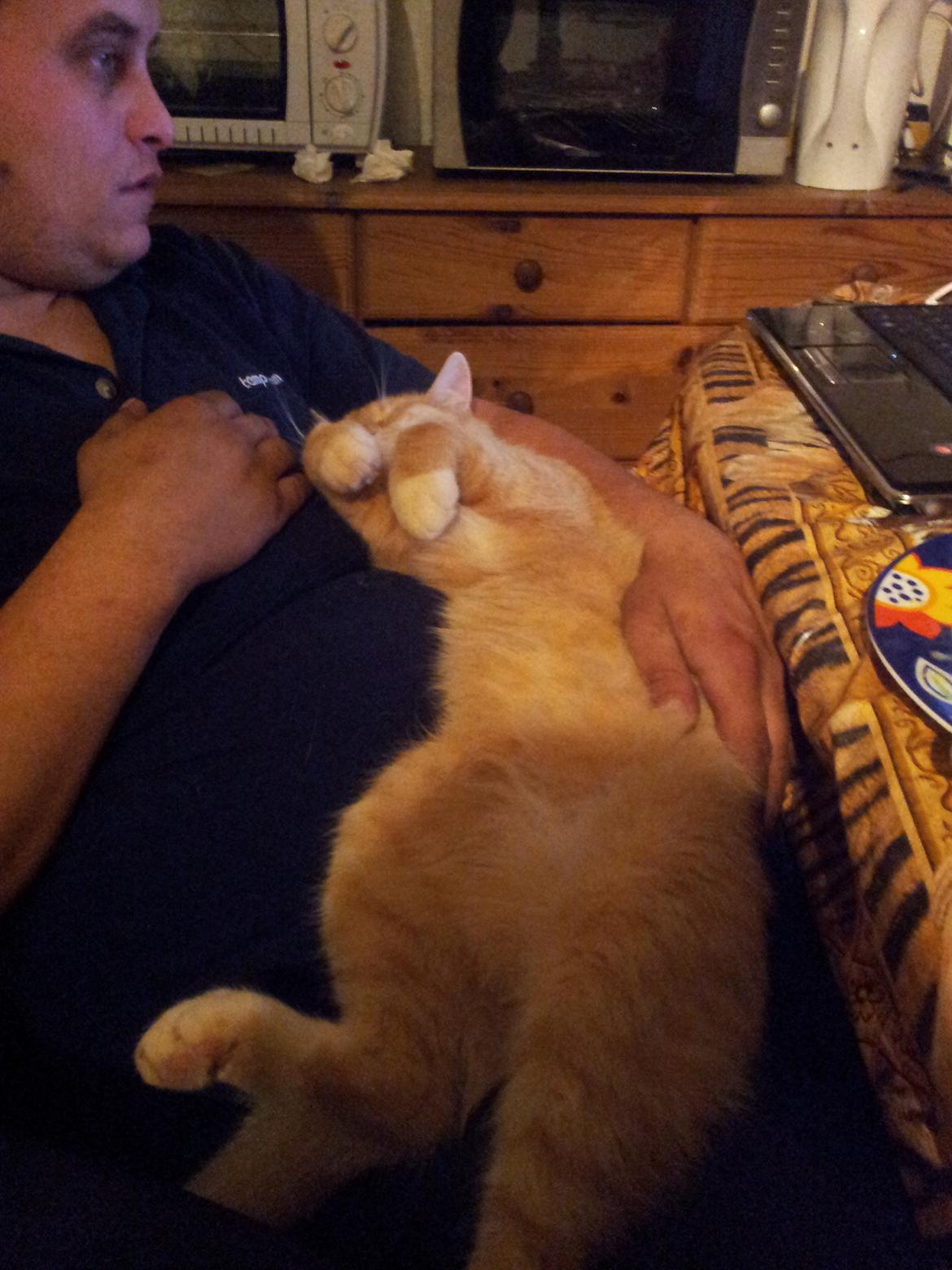 Huskat Guffe billede 9