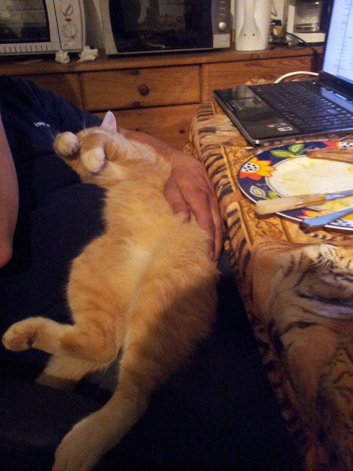 Huskat Guffe billede 10