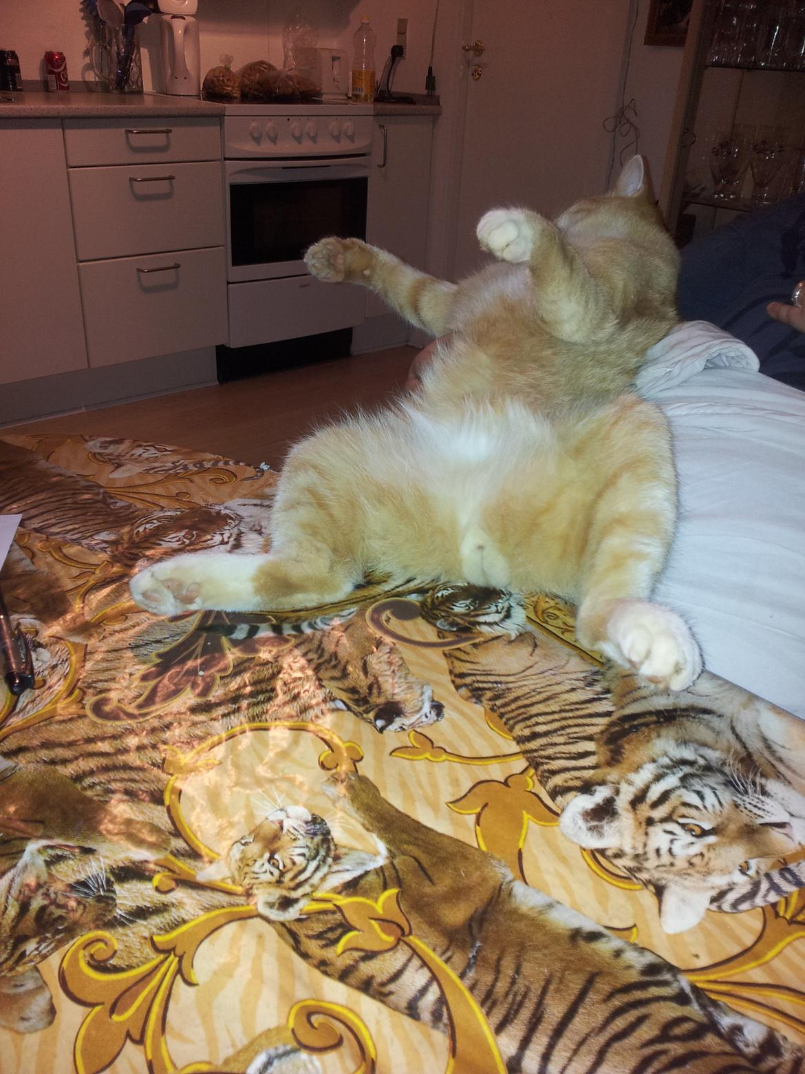 Huskat Guffe billede 17