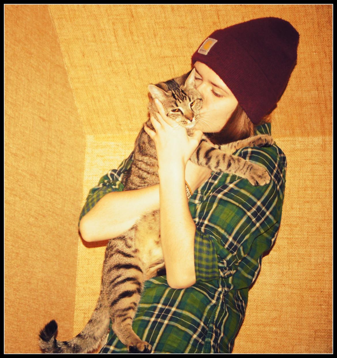 Huskat Felix Rex (himmelkat) - 30 uger. Han er vireklig blevet en stor basse :)  billede 20