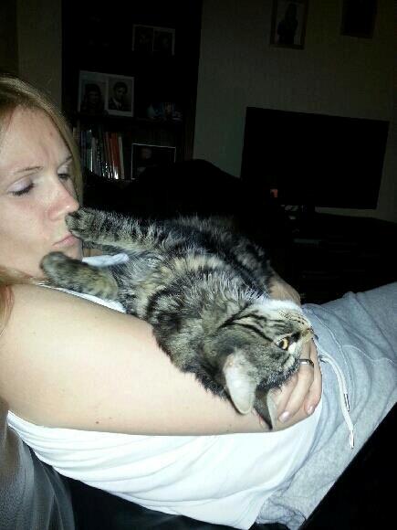 Blanding af racer Anouk billede 3