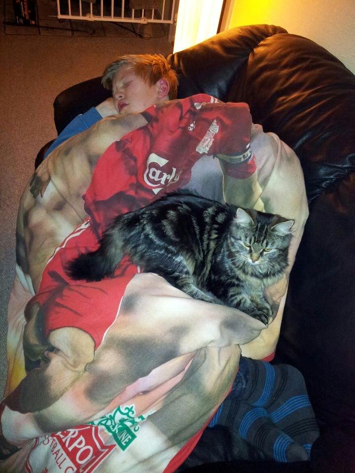 Blanding af racer Anouk billede 5