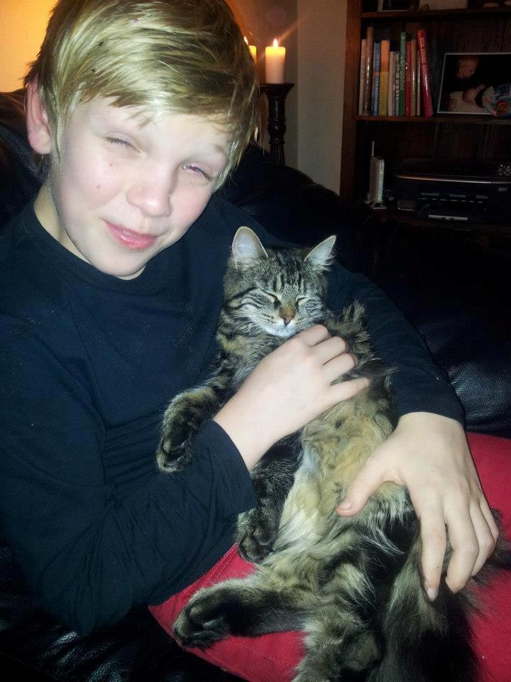 Blanding af racer Anouk billede 11