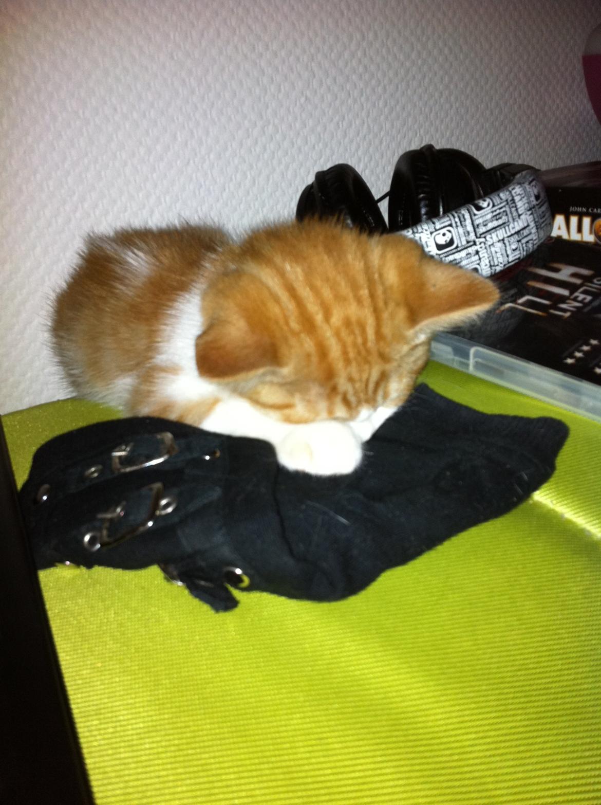 Blanding af racer Mikey billede 1