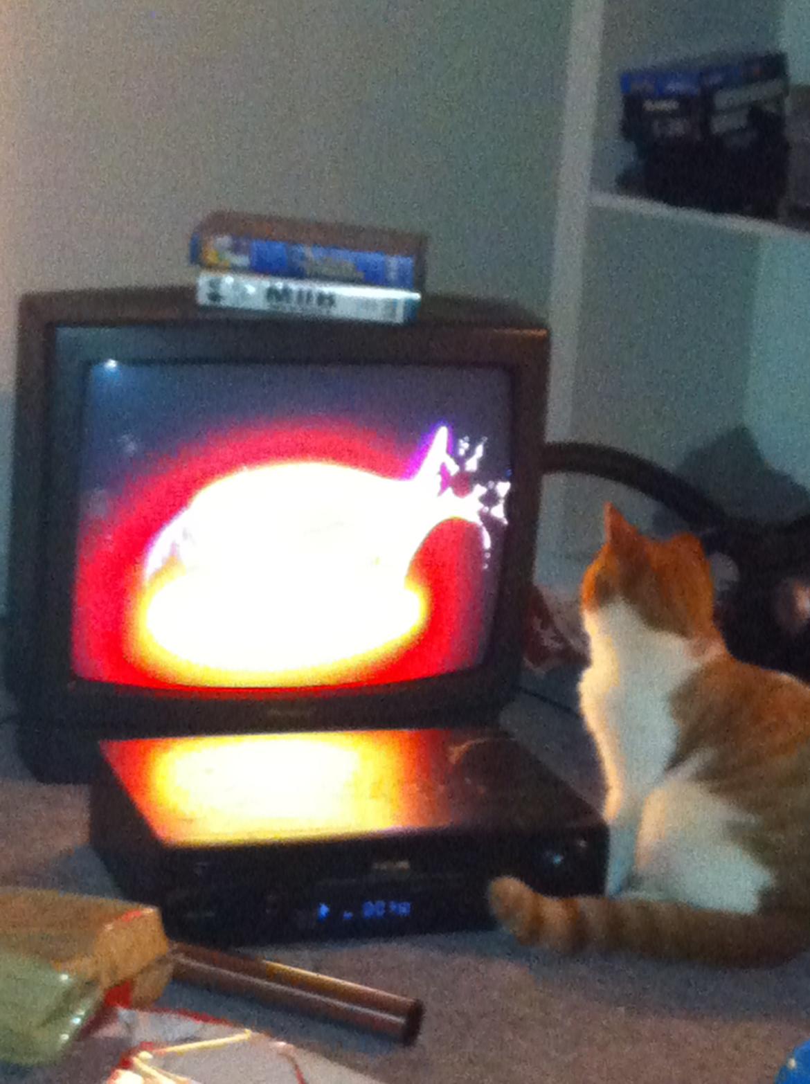 Blanding af racer Mikey billede 7