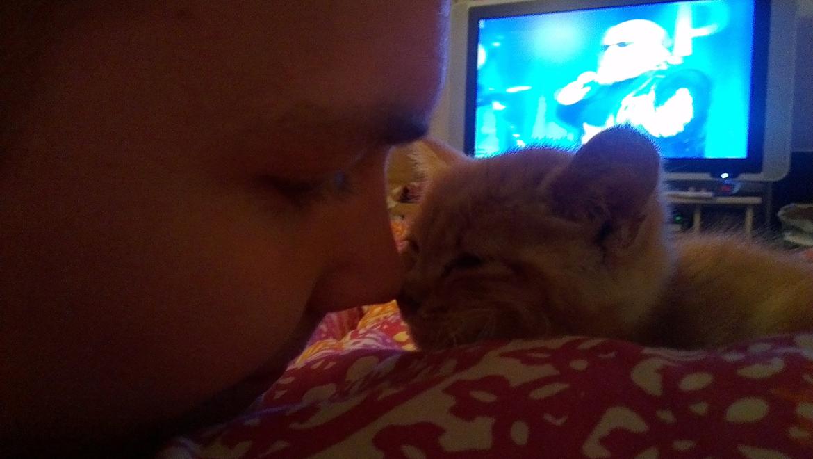 Blanding af racer Kido billede 7