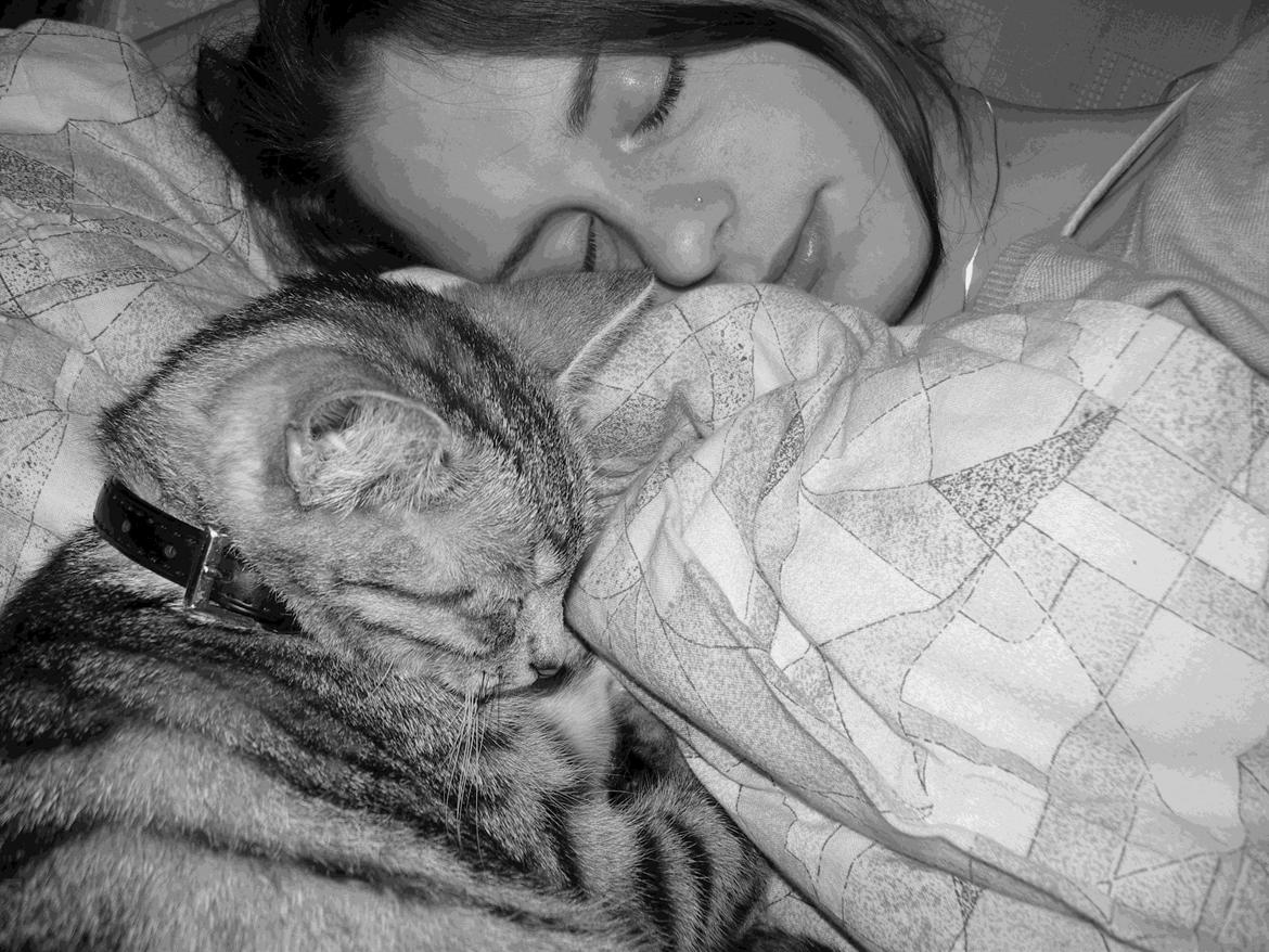 Huskat Luna billede 6