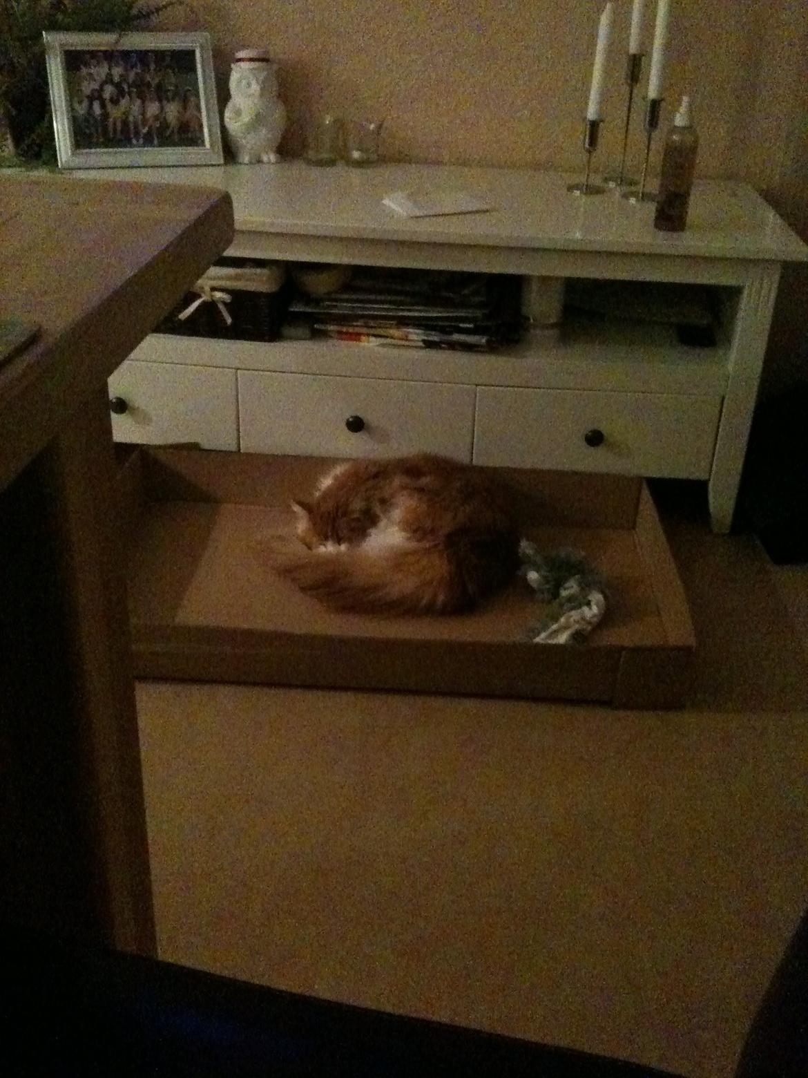 Huskat Chili billede 10