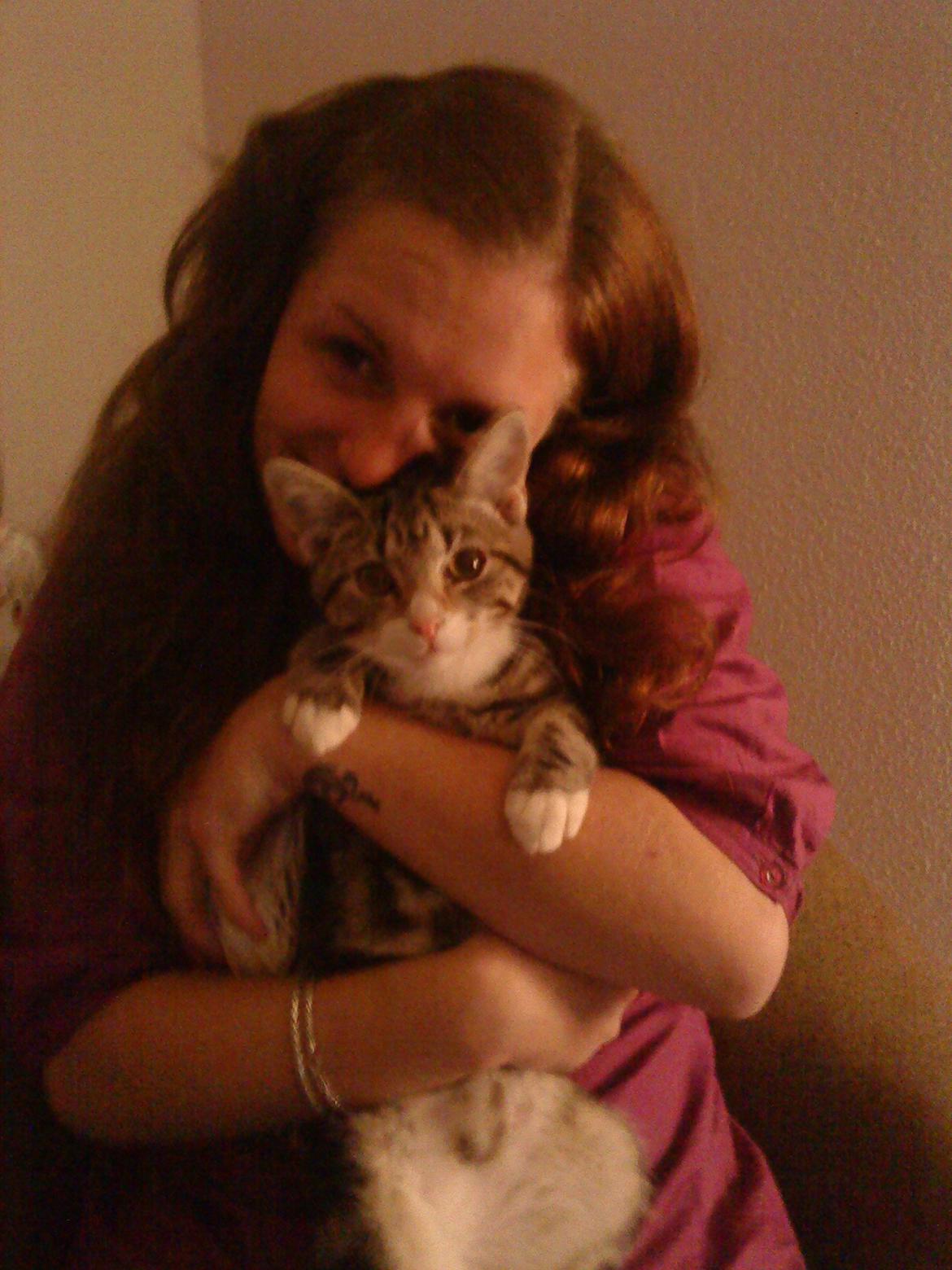 Huskat Zimba billede 3