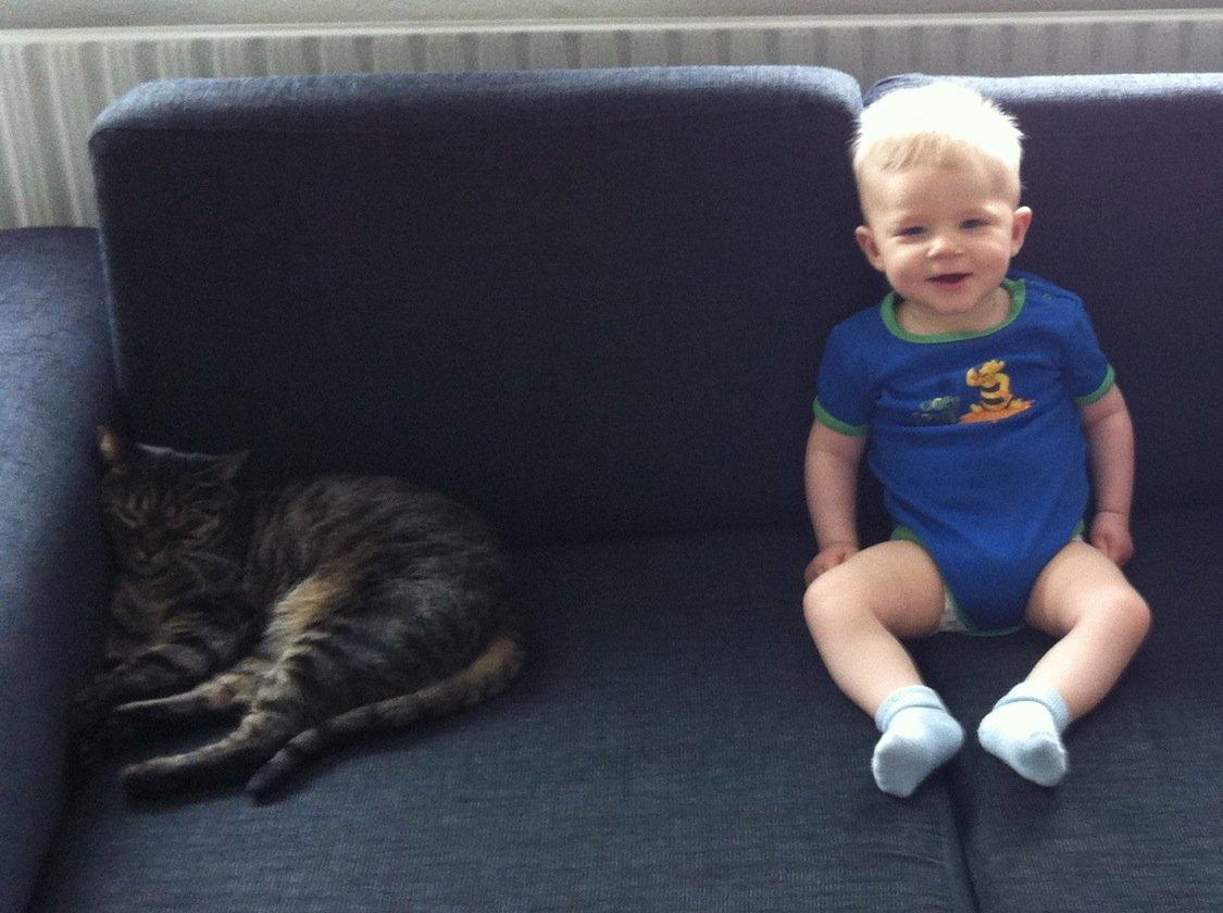 Huskat Sally " himmelkat" snøft - Sally og min søn " bedste venner" billede 8