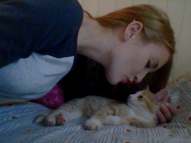 Blanding af racer Phoenix (Kispus) - mor elsker sin lille kispus! billede 5