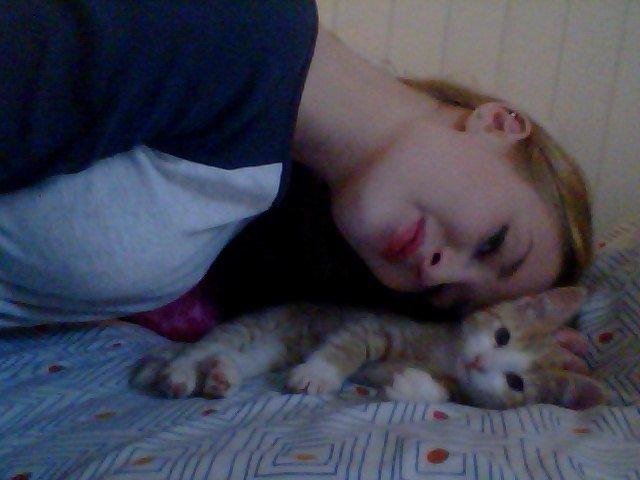 Blanding af racer Phoenix (Kispus) - hyggefis billede 7