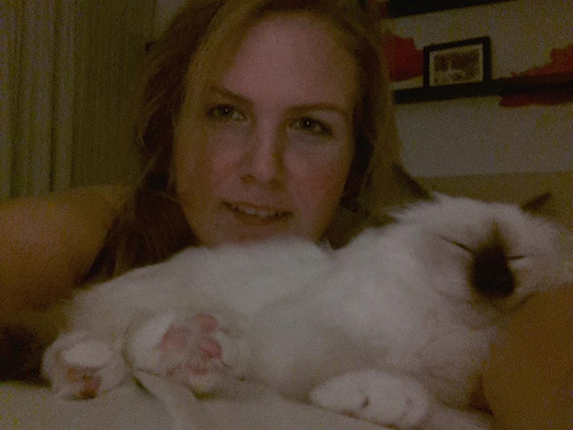 Hellig Birma Flicka - Hun skulle jo nødig gå glip af noget.... vi ser tv i sengen, og Flicka er selvfølgelig med. billede 16