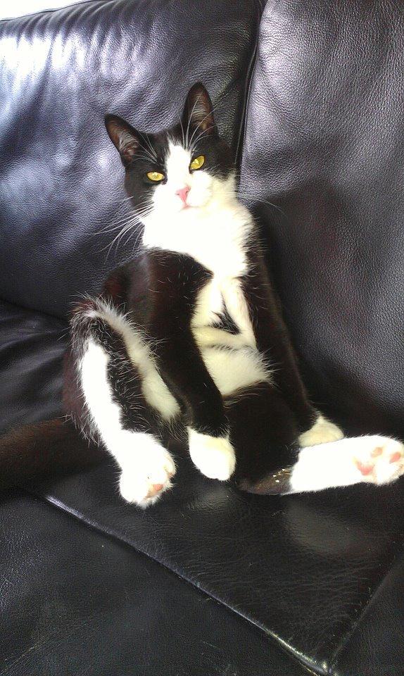 Huskat potten billede 2