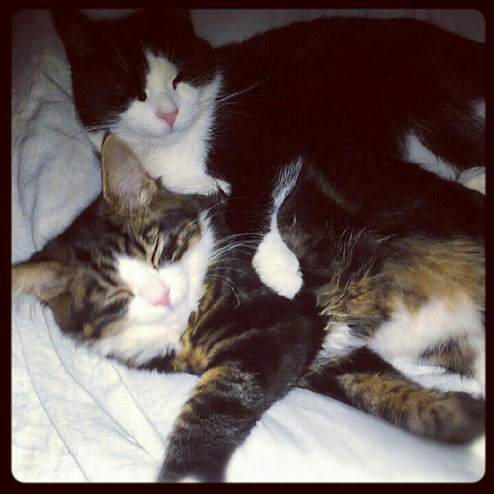 Huskat potten - her er jeg med min lillebror liam billede 6