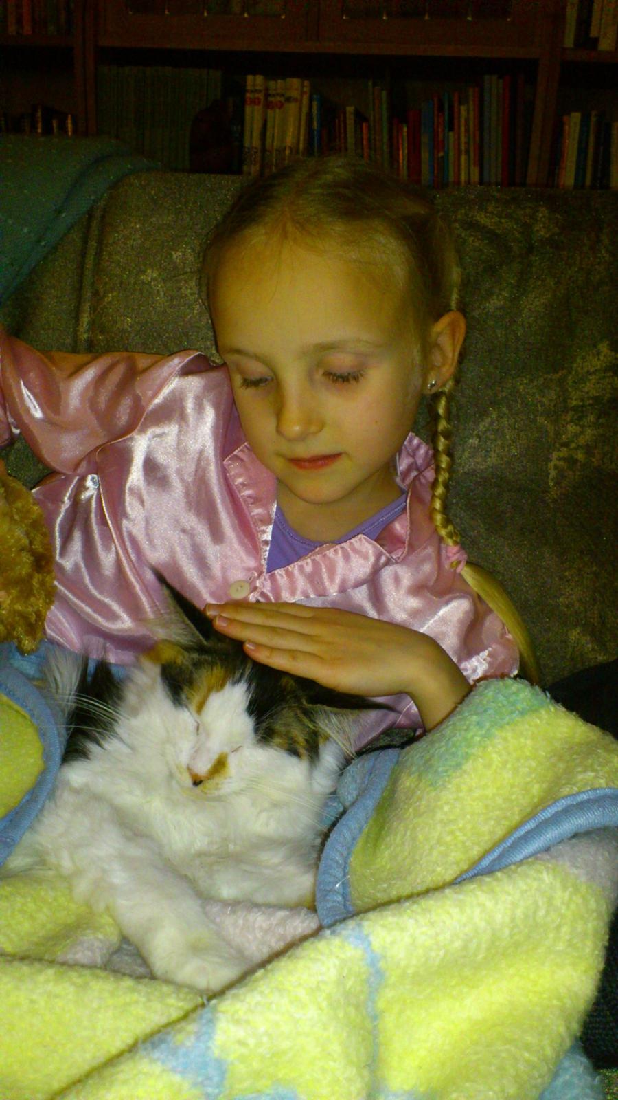 Maine Coon Hoberg´s Amelie - lykken er en bedste ven billede 2