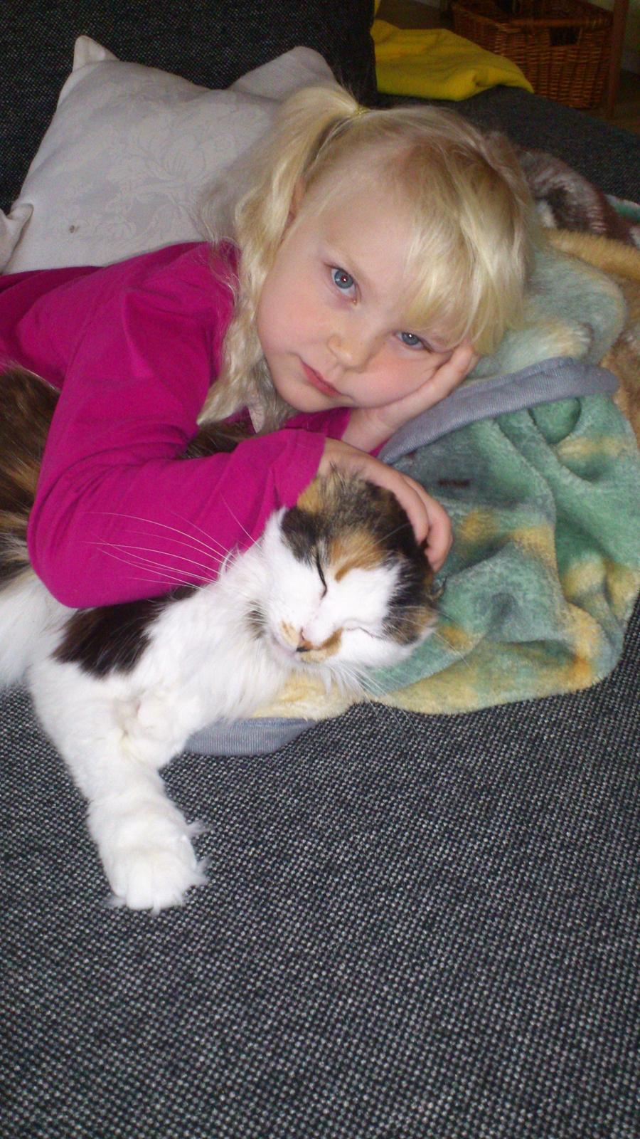 Maine Coon Hoberg´s Amelie - lykken er at låne storesøsters kat billede 12