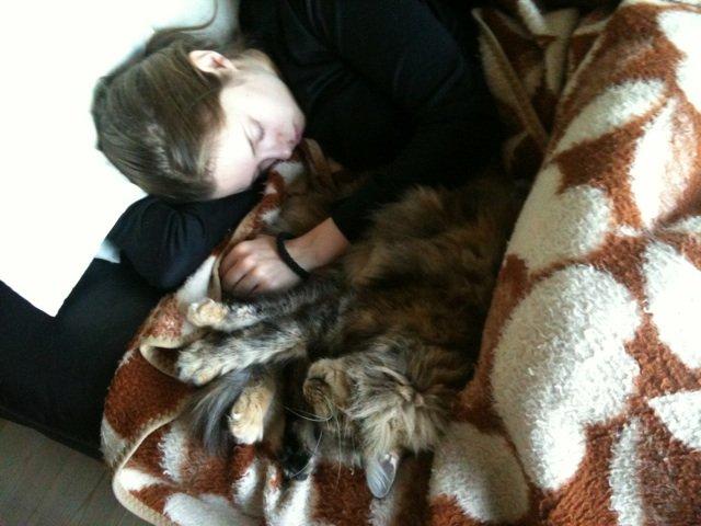 Blanding af racer R.I.P. Knirke - Knirke og jeg. billede 2