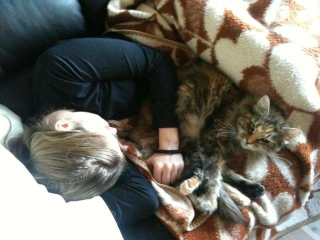 Blanding af racer R.I.P. Knirke - En morfar på sofaen er ikke værst. billede 3