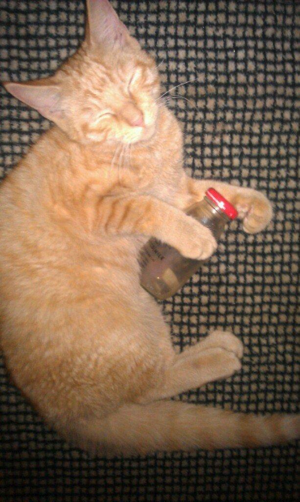 Huskat Guffe billede 1