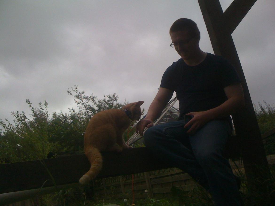 Huskat Guffe billede 6