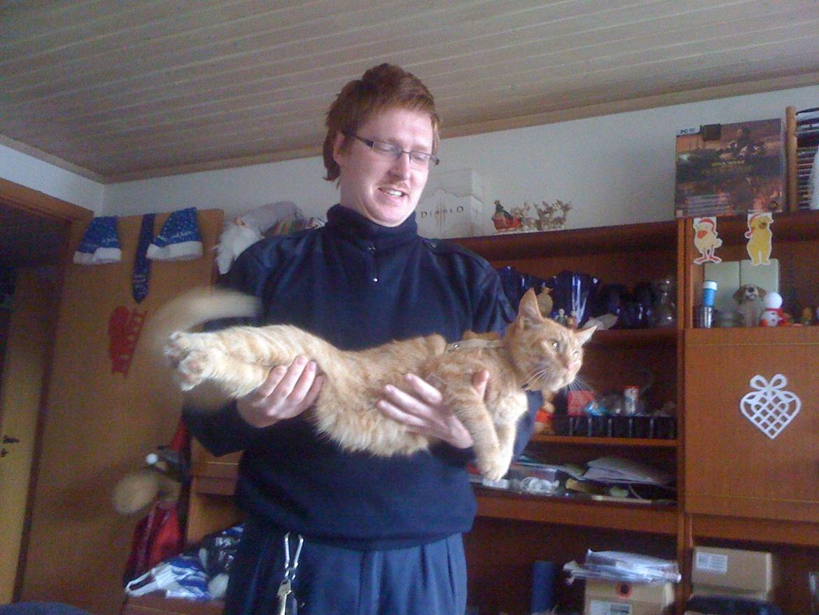 Huskat Guffe billede 8