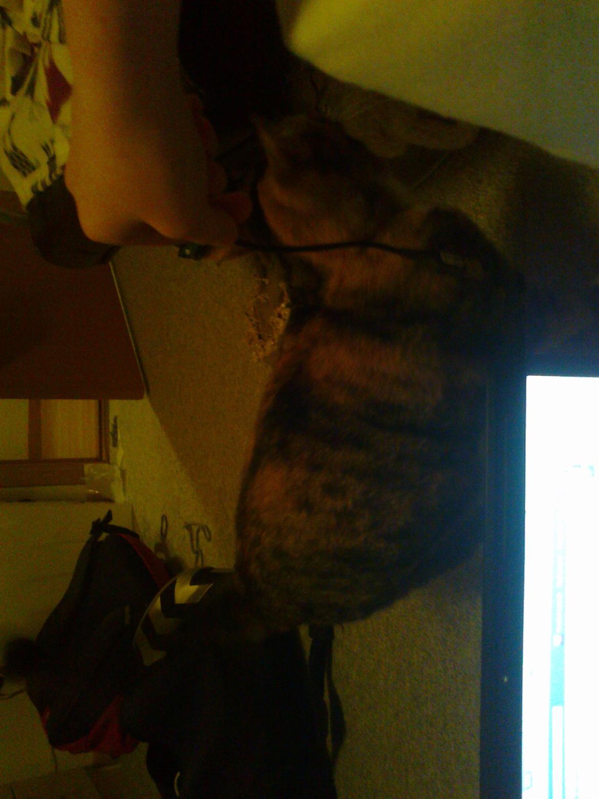 Huskat freja billede 8