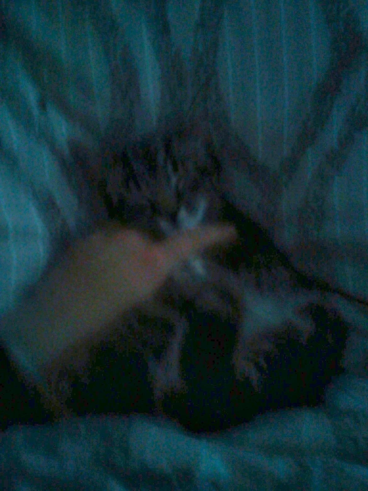 Huskat Timon - Jeg slapper af og nyder selvskab billede 8